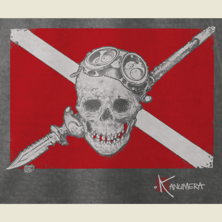 pirate flag t shirt